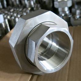Stainless Steel SMO 254 Forged Union